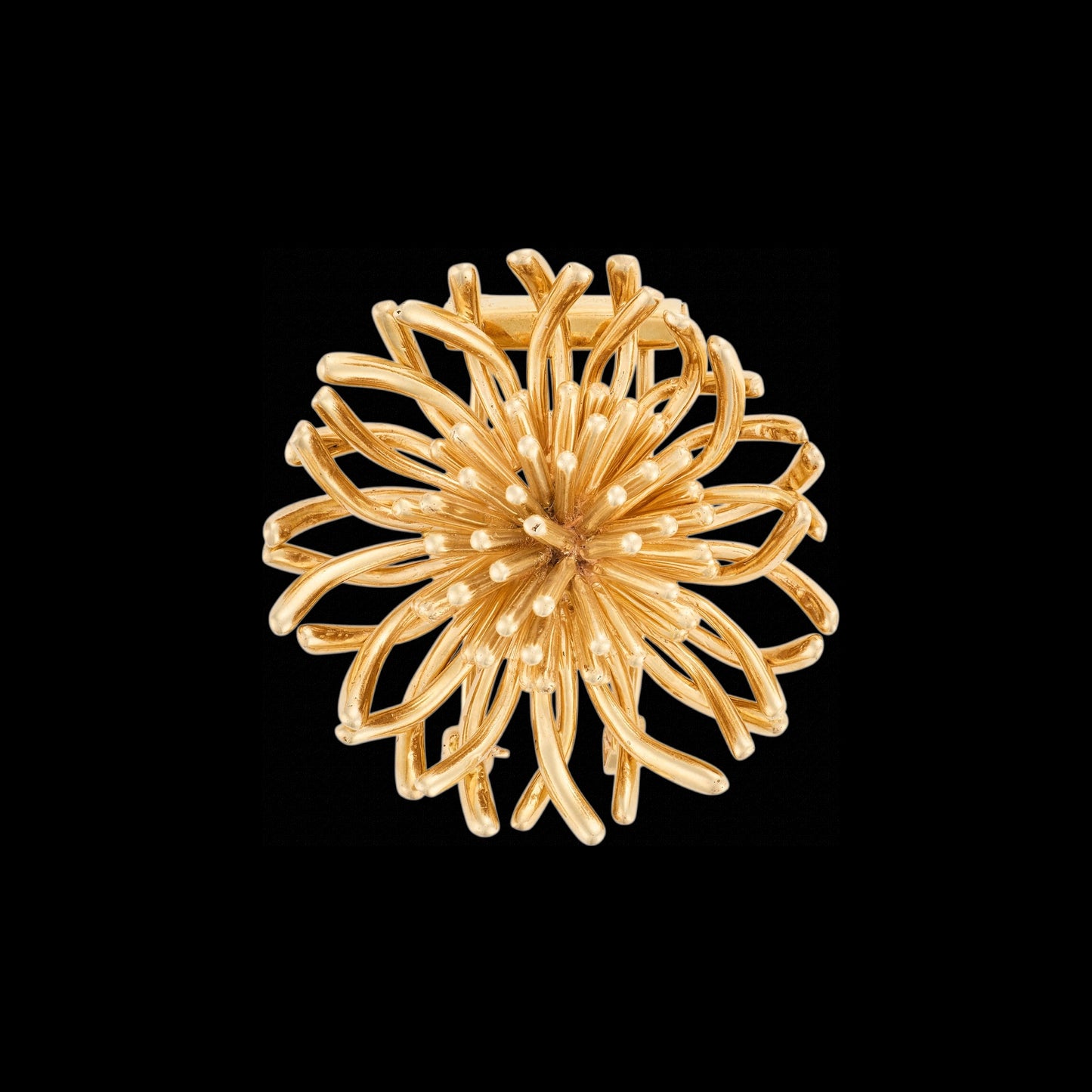 Sea Anemone Brooch by Tiffany & Co.