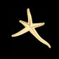 Starfish Brooch by Tiffany & Co.